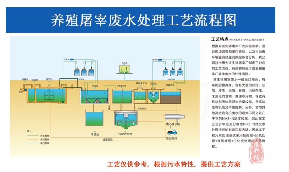 屠宰工艺.jpg