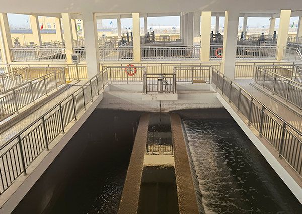 1761017621517045.jpg 12.jpg