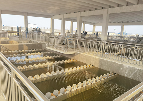 1765936433192436.jpg 14.jpg